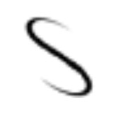 Suraksha logo